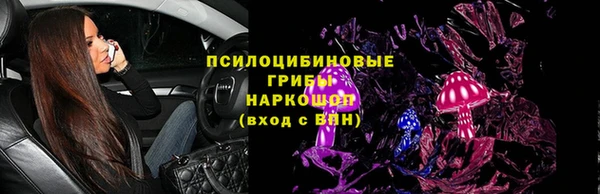 PSILOCYBIN Волоколамск