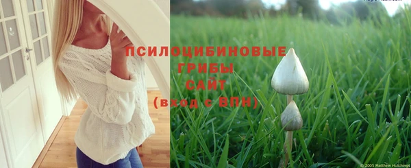 тгк Волосово
